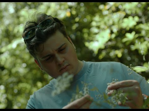 video frame placeholder