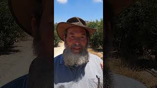 הכפר הכי יפה בארץ - גוש חלב. קברי נביאים ותנאים. מעיינות, נחלים  #history #טיולים #טיול #ישראל