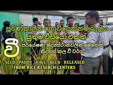 වී පර්යේෂණ මද්‍යස්ථානවලින් මෙතෙක් නිදහස් කල වී වර්ග.Seed Paddy have been Released from Rice Reser-Ce