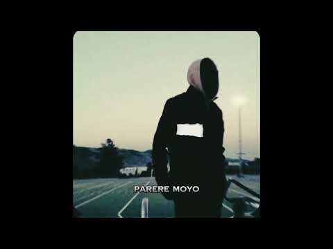 LBChapo - Parere Moyo (official visualizer)