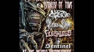 LED TO THE GRAVE- HELLBOUND