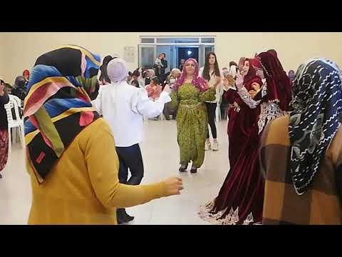 Şekercimi baban senin MÜZİSYEN Özlem Ökten AKŞEHİR düğünleri Çakıllar mahallesi Menekşe & Mehmet