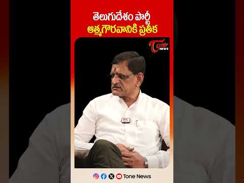 తెలుగుదేశం పార్టీ ఆత్మగౌరవానికి ప్రతీక.. #analystsuvera #cmchandrababu #tdp #srntr #apnews #shorts