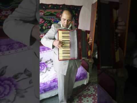 Nicu Acordeonistu (Puradici)