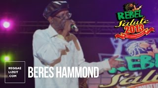 Beres Hammond - Falling In Love All Over Again @ Rebel Salute 2016
