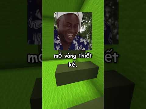 Bí mật đằng sau những lối mòn kỳ lạ trên bãi cỏ 🌱