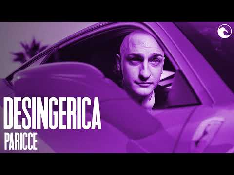 😈 Desingerica x Pljugica SELJACKI DRILL type beat 2024 | PARICCE |
