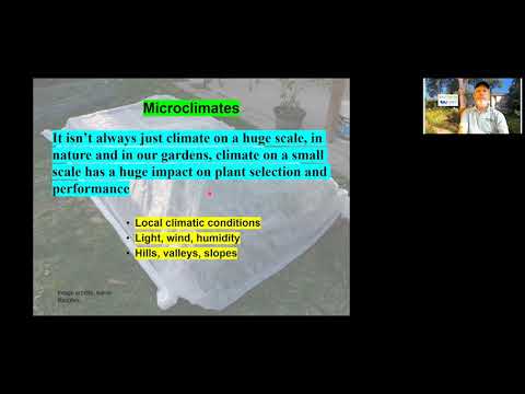 Trees in Tennessee -Geography, Dendrology, Importance.