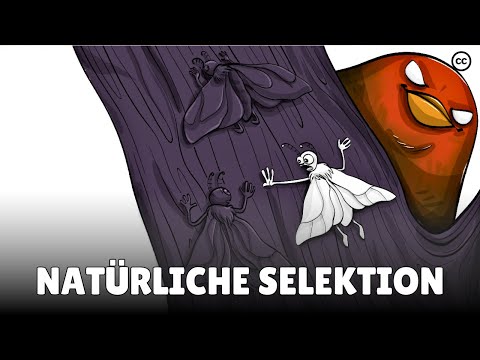 Natürliche Selektion - Survival Of The Fittest