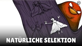Natürliche Selektion - Survival Of The Fittest