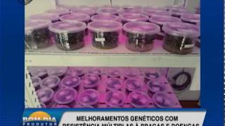 Miniatura do vídeo