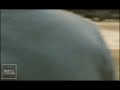 Radhika Apte Bikini In The Wedding Guest