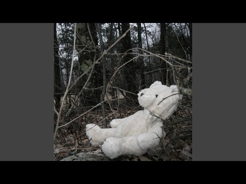 death to bridgette fortin