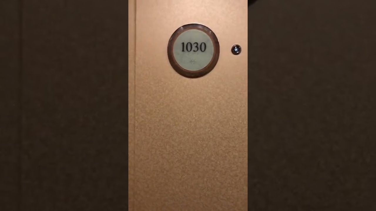 Jewel of the Seas - Cabin 1030 - Video 1