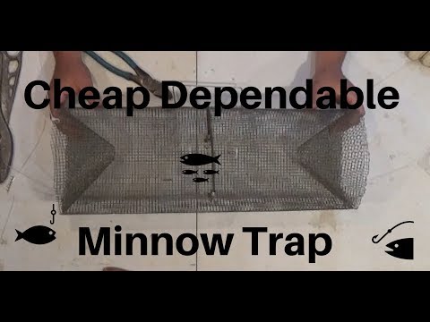 How To Build A Minnow Trap