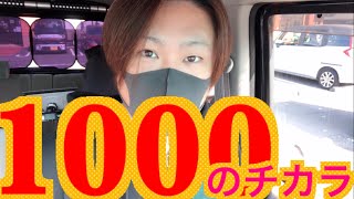 コレが1000かぁ