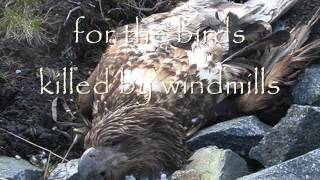 VAMP - Skål   - with lyrics