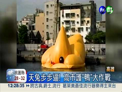 天兔亂中秋! 高市護"鴨"大作戰