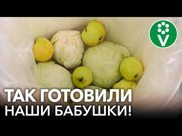 САМАЯ ПОЛЕЗНАЯ КВАШЕНАЯ КАПУСТА – БЕЗ СОЛИ, САХАРА И УКСУСА! Квашеная капуста по старинным рецептам