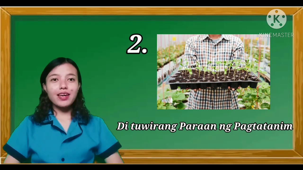 wastong pamamaraan sa pag-aalaga ng halaman credit to: AISA SORIDOR