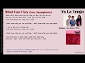 What Can I Say (NRBQ - Joey Spampinato) - Yo La Tengo