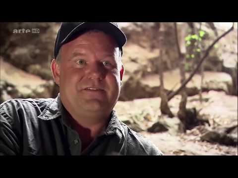 Dokumentation Stunde Null des Menschen