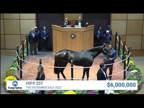 Goodnight Olive sells for $6,000,000 at The November Sale (2023)
