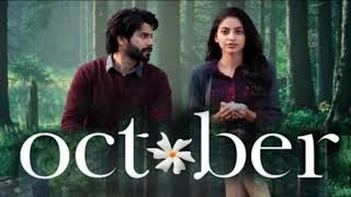 Manwaa lyrics | October | Varun Dhawan &amp; Banita Sandhu | Sunidhi Chauhan