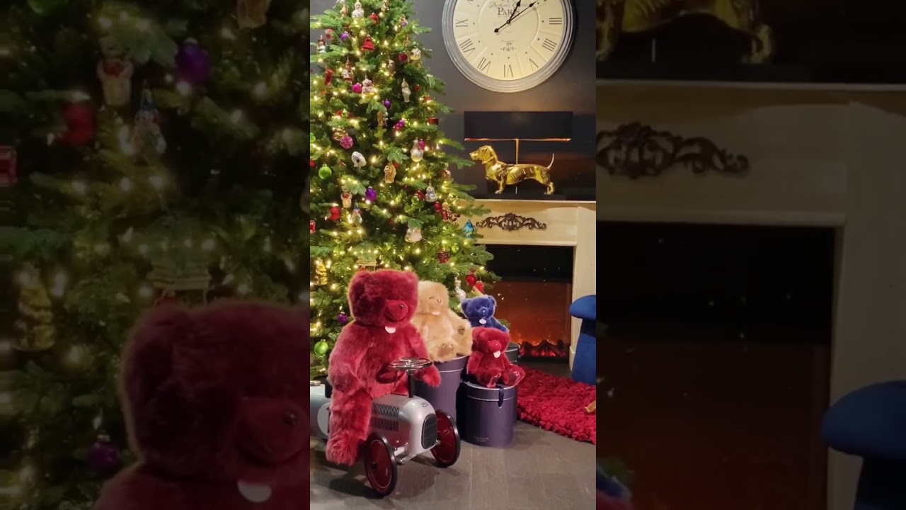 Video preview