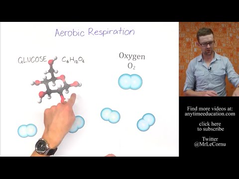 What is Aerobic Respiration?