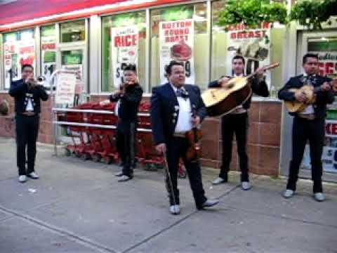 Promotional video thumbnail 10 for Mariachi Nuevo Mexico