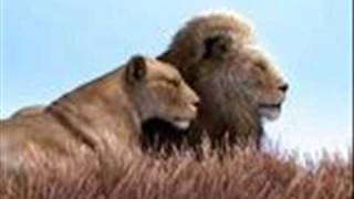 Agustus Pablo     Lions Unfinished Melody