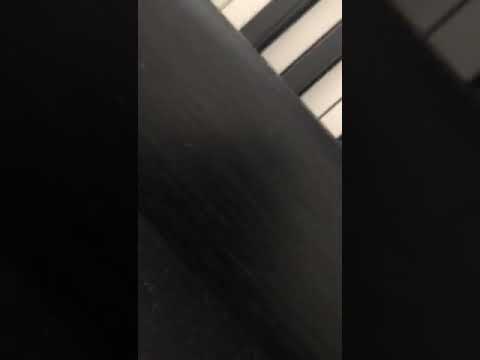 Egzona & Gentrit Leka ( Piano ) - Live