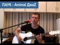 Паук - Animal Джаz (cover by TheSeriyVolk) 