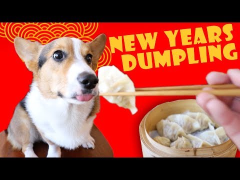 Lunar New Year DUMPLINGS for Year of the DOG || Life After College: Ep. 585