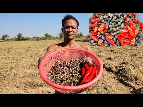 STIR FRIED CLAM WITH RIPE TAMARIND | simple way to cook clam with ripe tamarind