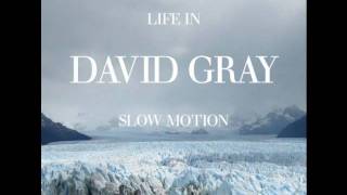 Bài hát Slow Motion - Nghệ sĩ trình bày David Gray