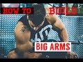 How to build big arms