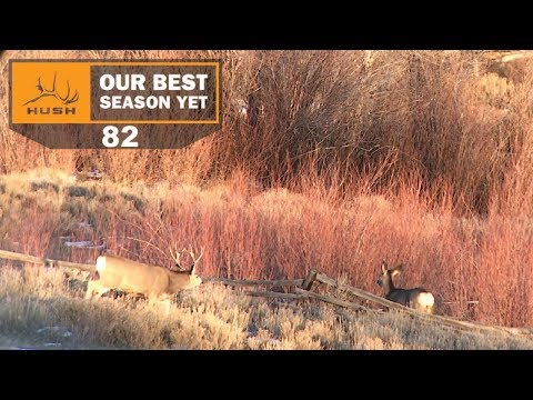 BSY | LATE SEASON - BUCKS ARE RUTTING | S1E82
