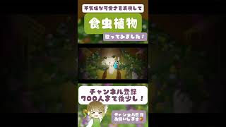 秋服が早く着たいので歌いました。 #食虫植物 #歌ってみた #チャンネル登録お願いします