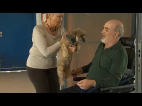 Apallic Care Unit - Wachkoma