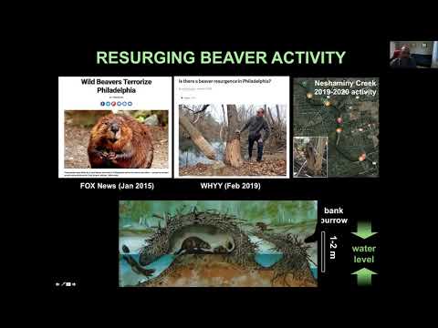 Webinar - Scratching the Subsurface - Dr. Ilya Buynevich
