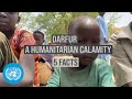 5 Facts on Darfur, Sudan - A Humanitarian Calamity | United Nations