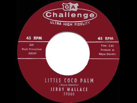 1960 HITS ARCHIVE: Little Coco Palm - Jerry Wallace