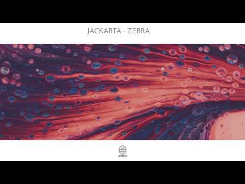 Jackarta - Zebra