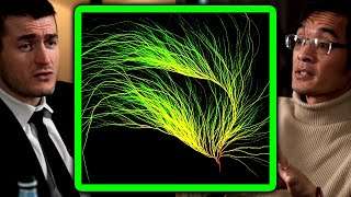 The surprisingly hard math problem - Collatz conjecture explained | Terence Tao and Lex Fridman