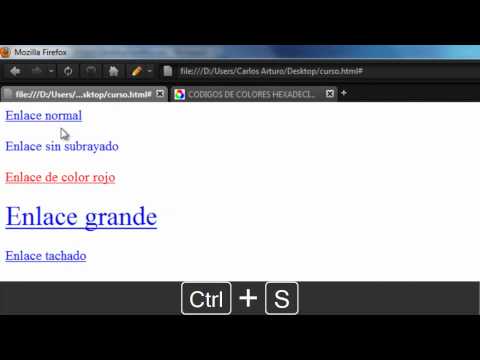 Curso Basico de CSS 8 Formularios