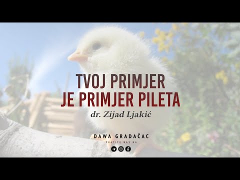 TVOJ PRIMJER JE PRIMJER PILETA - dr. Zijad Ljakić