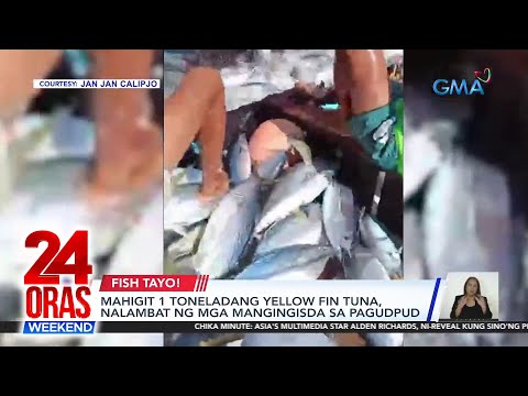 Mahigit 1 toneladang yellowfin tuna, nalambat ng mga mangingisda sa Pagudpud 24 Oras Weekend
