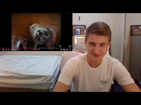 Reaction to OG Buda - Старшие (feat. Polyana) ПРЕМЬЕРА КЛИПА!